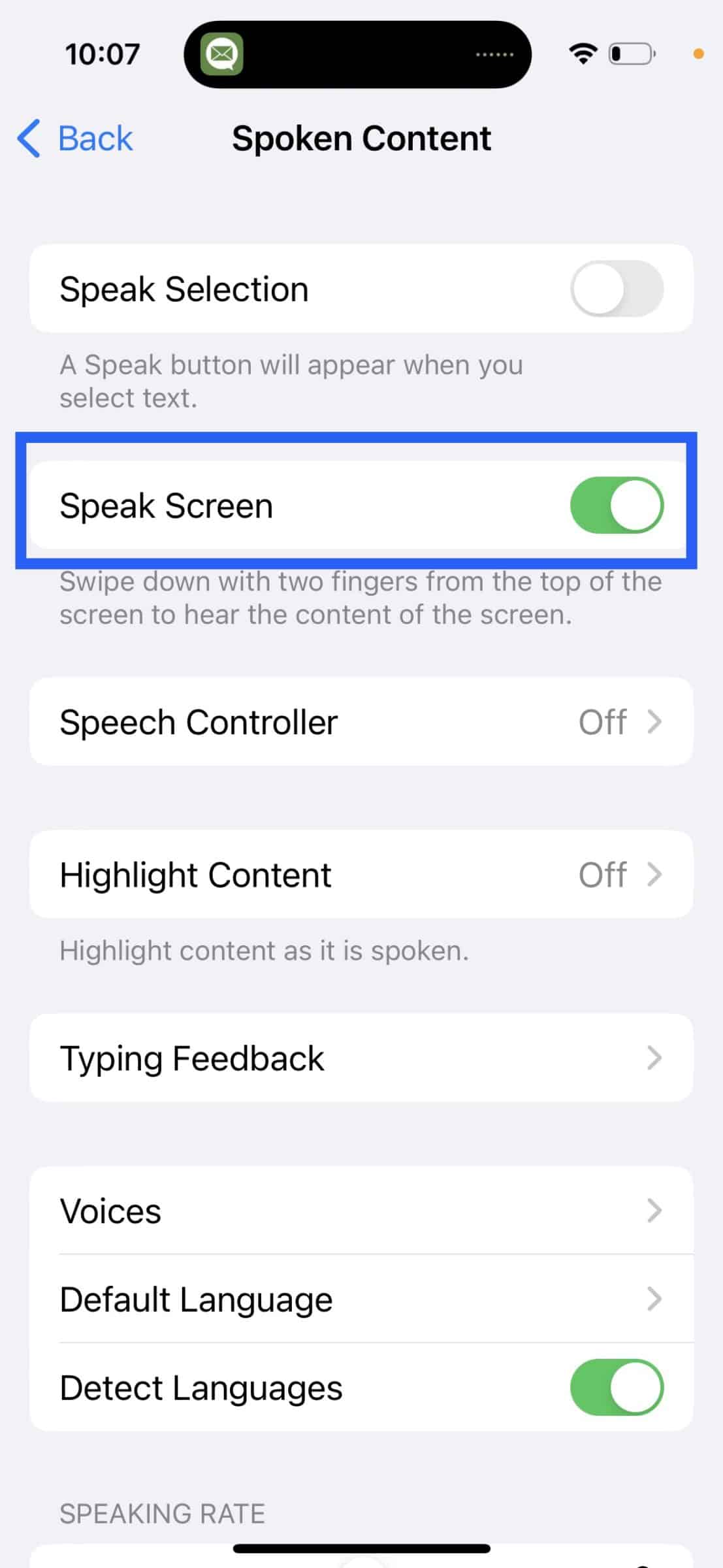 Screenshot of Apple Spoken Content menu