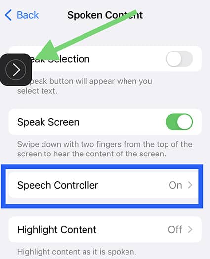 Screenshot of Spoken Content menu on iOS