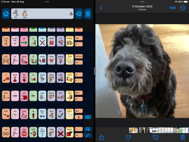 A screenshot of the Proloquo app in dark display mode. Next to the cells with symbols is a photo of a cute black dog with curly hair.