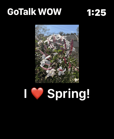 A screenshot of a personal phrase 'I love Spring!' within the GoTalk WOW app on Apple Watch.
