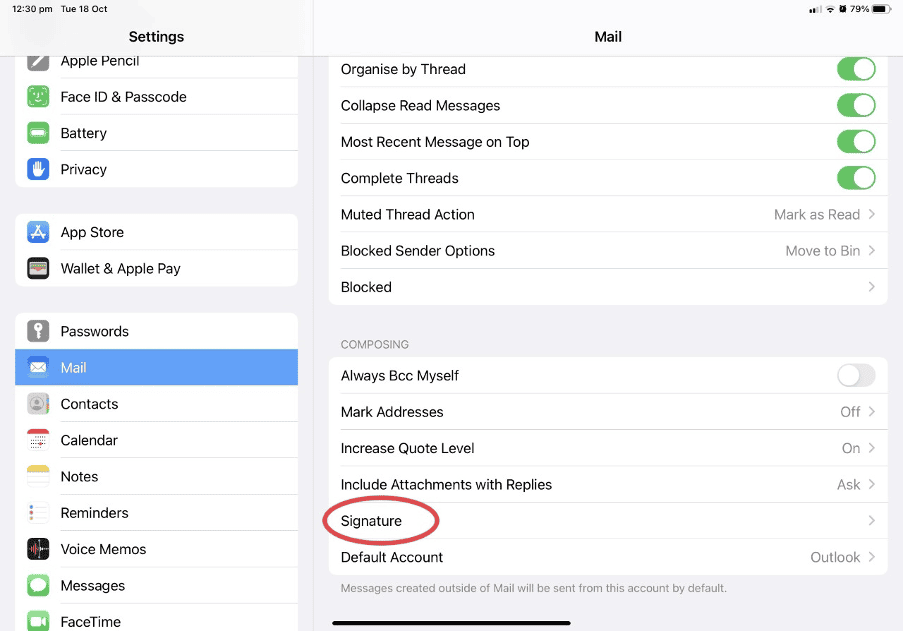 Screenshot of Settings app on the iPad.