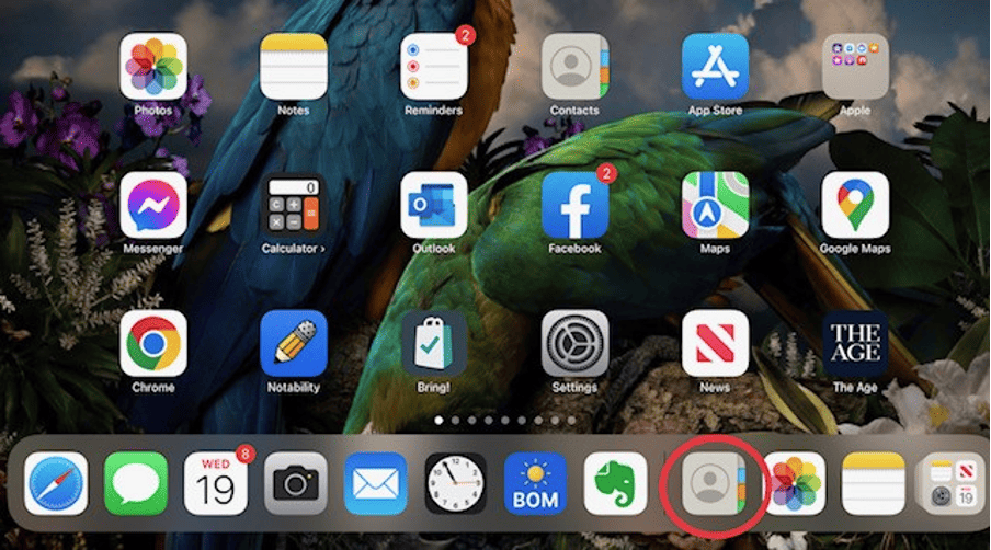 Screenshot of Home screen of iPad